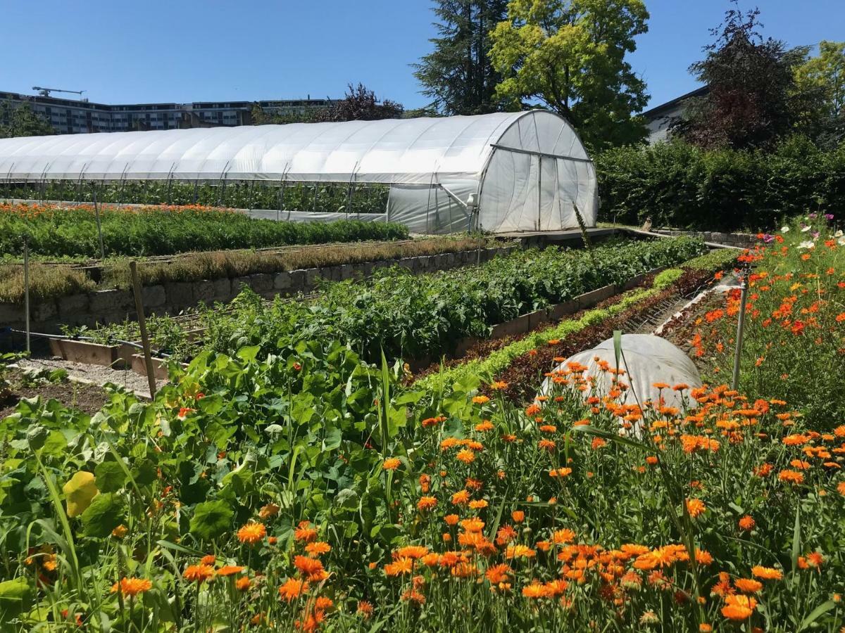 La Ferme Du Lignon 호텔 제네바 외부 사진